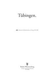 Tübingen. - jan baur