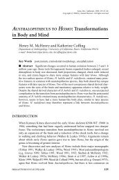 AUSTRALOPITHECUS TO HOMO: Transformations in Body and Mind