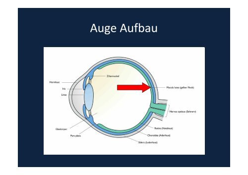 Verblitzt, verstrahlt – licht- und strahleninduzierte ...