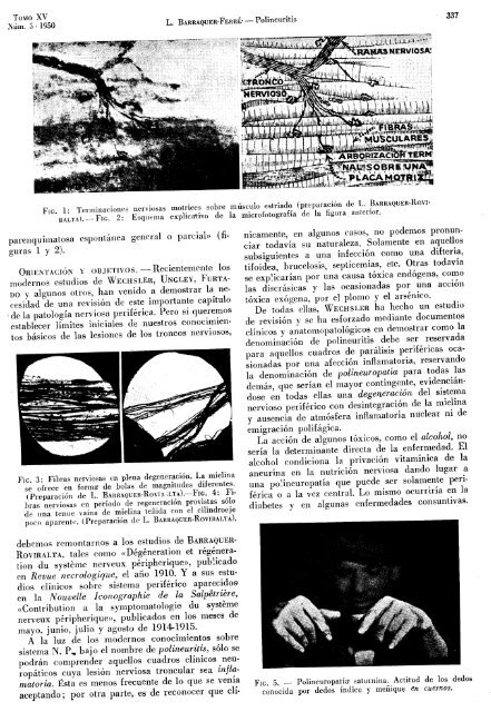 Medicina Clínica 1950 (pdf) - Museo Archivo Histórico | SEN ...