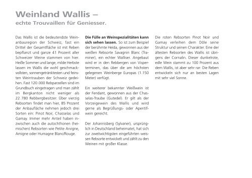 SwissGuide Wallis (4990 KB) - Deka (Swiss)