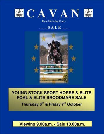 elite foals - Cavan Equestrian and Horse Marketing Centre