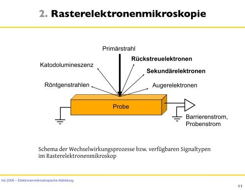 7. Elektronenmikroskopische Abbildung