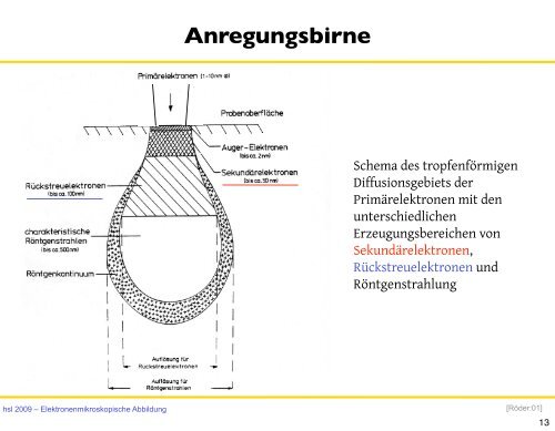 7. Elektronenmikroskopische Abbildung