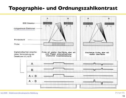 7. Elektronenmikroskopische Abbildung