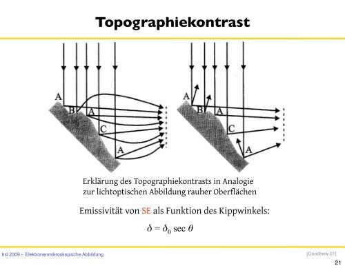 7. Elektronenmikroskopische Abbildung