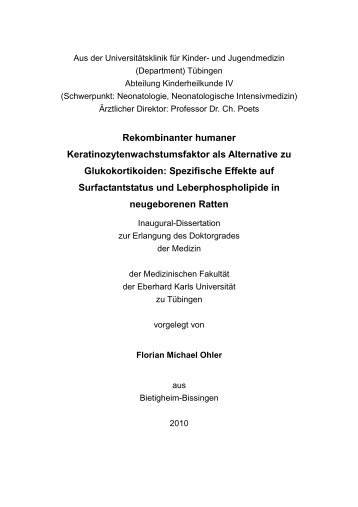 Dokumentvorlage für Dissertationen u.ä. - TOBIAS-lib - Universität ...