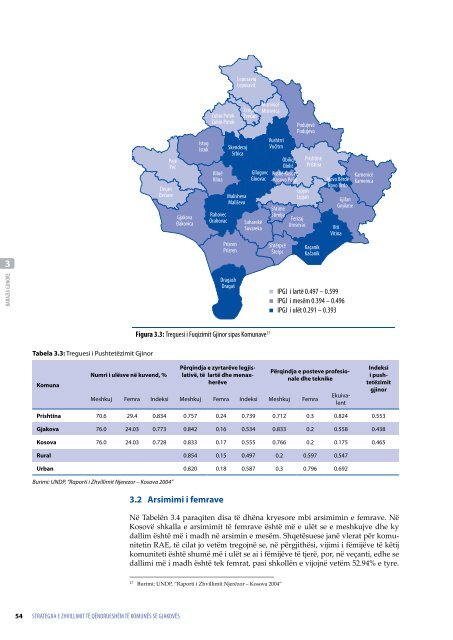 Strategjia e Zhvillimit të Qëndrueshëm të Komunës ... - UNDP Kosovo