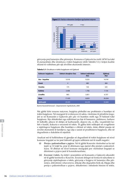 Strategjia e Zhvillimit të Qëndrueshëm të Komunës ... - UNDP Kosovo