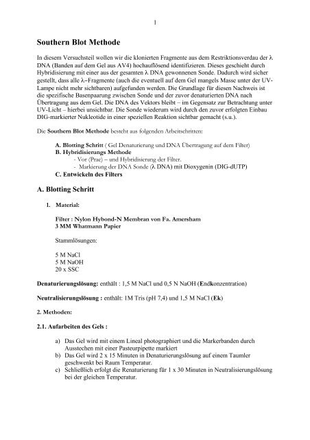 Southern Blot Methode