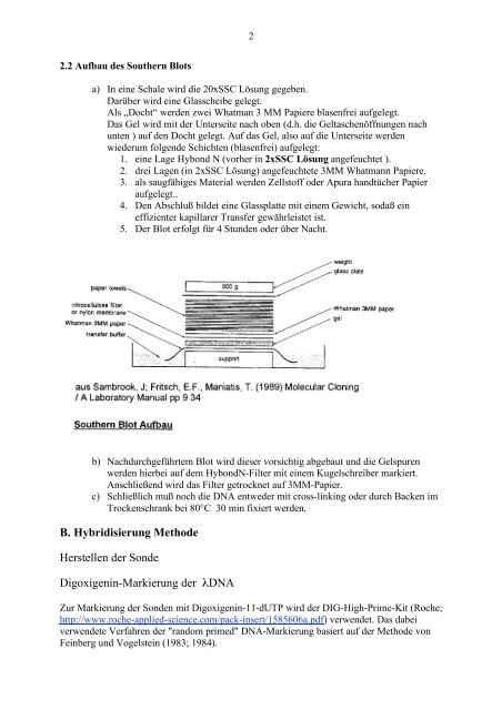 Southern Blot Methode