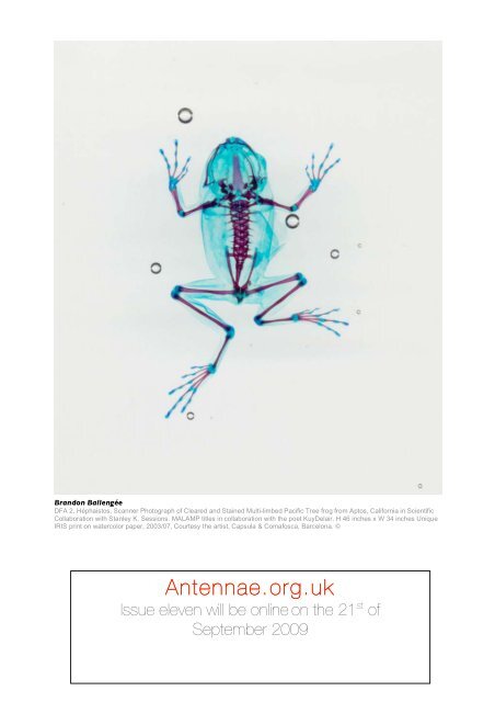 M - Antennae The Journal of Nature in Visual Culture