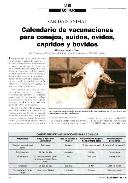 Calendario de vacunaciones para conejos