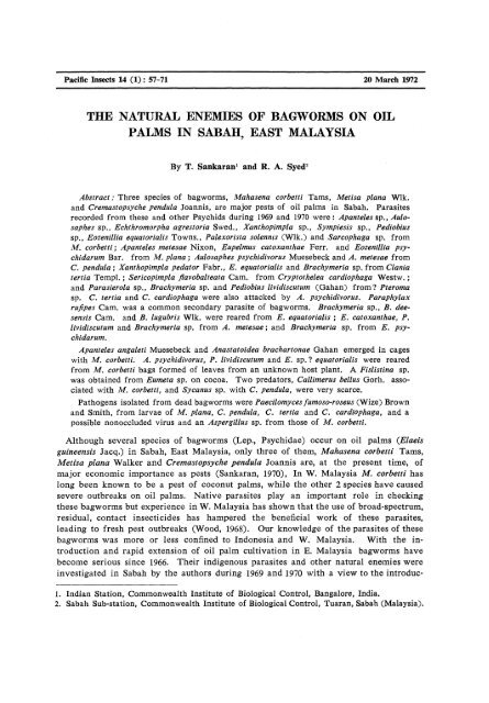 natural enemies of bagworms on oil palms - Hawaii Biological Survey