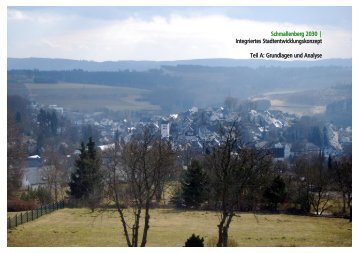 Grundlagen und Analyse - Schmallenberg