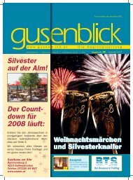 Silvester auf der Alm! Der Count- down für 2008 läuft: - Gusenblick