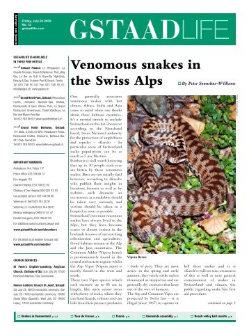 Venomous snakes in - GstaadLife print edition
