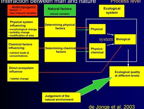 Responses of estuaries to natural and ... - University of Hull