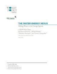 THE WATER-ENERGY NEXUS - World Policy Institute