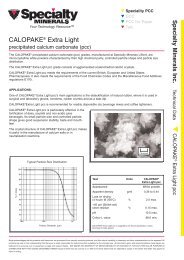 CALOPAKE® Extra Light - Minerals Technologies