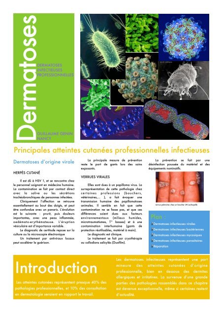 Dermatoses infectieuses - Formation Médecine du Travail - Free