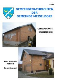 Ausgabe Gemeindezeitung 1 2009 - Gemeinde Meiseldorf