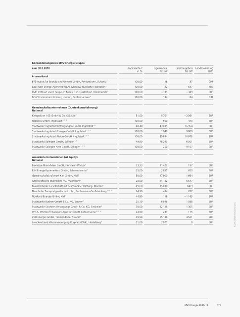 IFRS - MVV Investor