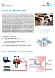 Data Sheet Photonic Professional 2012.pdf - Nanoscribe