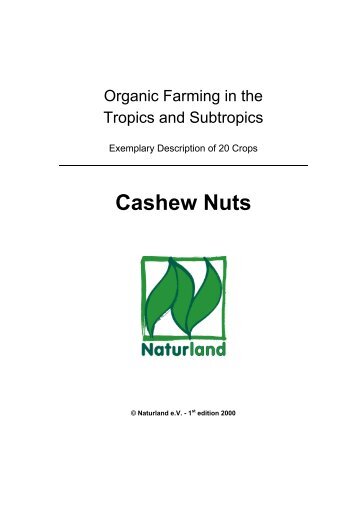 Cashew Nuts - Naturland