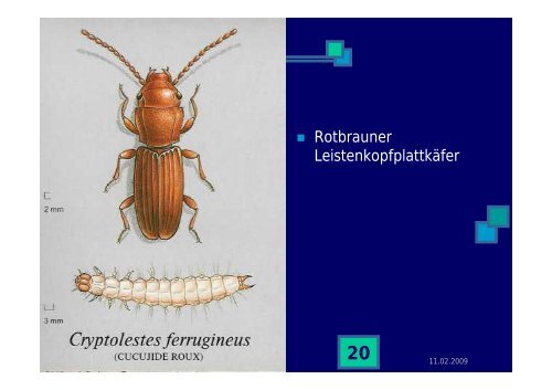 Strategien für die Regulierung von Lagerschädlingen in ... - Naturland