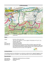 Internet Pfaffenhofen Brunnenweg - Neckar-Zaber-Tourismus eV