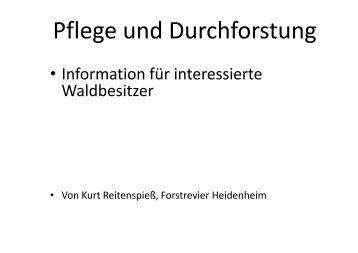 Pflege und Durchforstung