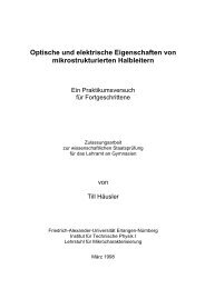 Optische und elektrische Eigenschaften von mikrostrukturierten ...