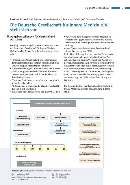 Jahresbroschüre der DGIM 2009 - Deutsche Gesellschaft für Innere ...