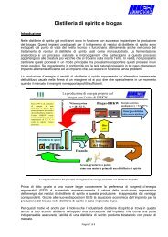 Distilleria di spirito e biogas