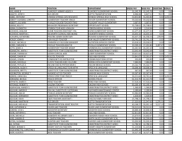 2010 NPRI Copy salaries only auto cdd py1056 run