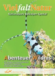 „Mahlzeit“ im Adlerhorst Im Reich der Orchideen, Falter und Waldvögel