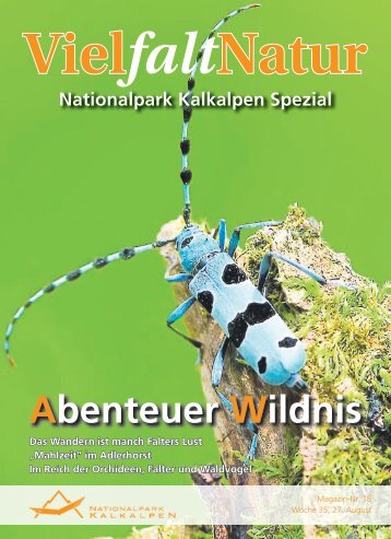 „Mahlzeit“ im Adlerhorst Im Reich der Orchideen, Falter und Waldvögel