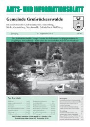 Kabellose Einbruch- und Brandmeldesysteme SECTRA - Gemeinde ...