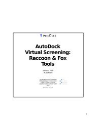 AutoDock Virtual Screening: Raccoon & Fox Tools