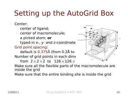 AutoDock Tutorial