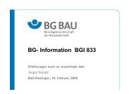 BG- Information BGI 833