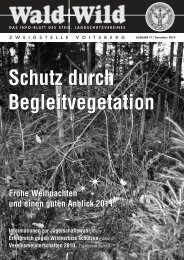 Wald+Wild 71-Dez.2010 Druck - Steirischer Jagdschutzverein