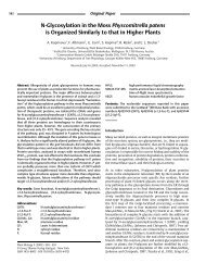 N-Glycosylation in the Moss Physcomitrella patens - Plant ...