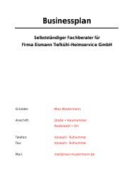 Businessplan Selbstständiger Fachberater für Firma Eismann ...