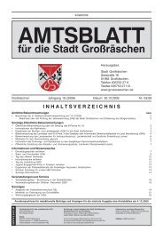 AMTSBLATT für die Stadt Großräschen INHALTSVERZEICHNIS