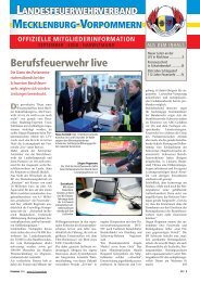 Landesfeuerwehrverband Mecklenburg ... - Dev - Feuerwehr