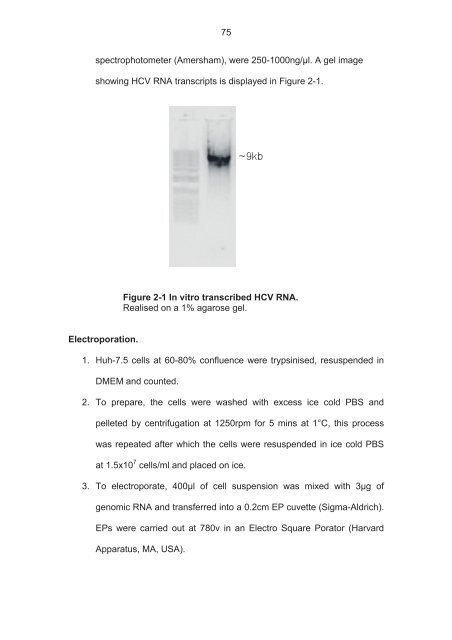 The role of scavenger receptor BI in hepatitis - eTheses Repository ...