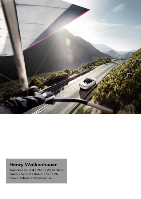 Henry Wolkenhauer - VW | Audi Service