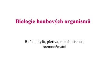 Biologie houbových organismů